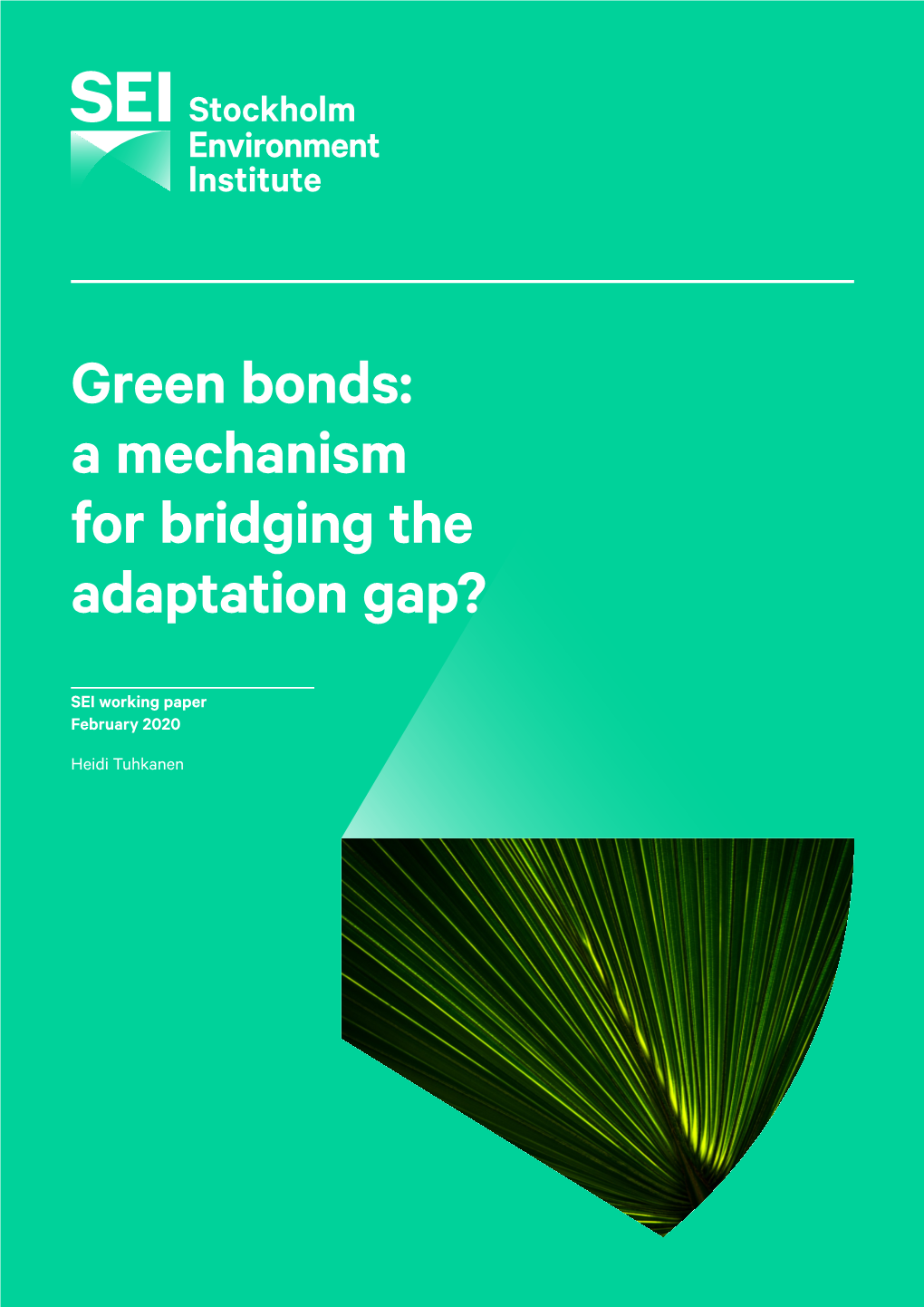 Green Bonds: a Mechanism for Bridging the Adaptation Gap?