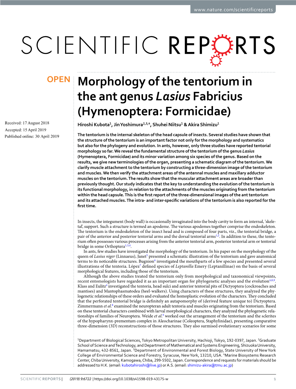 Morphology of the Tentorium in the Ant Genus Lasius Fabricius