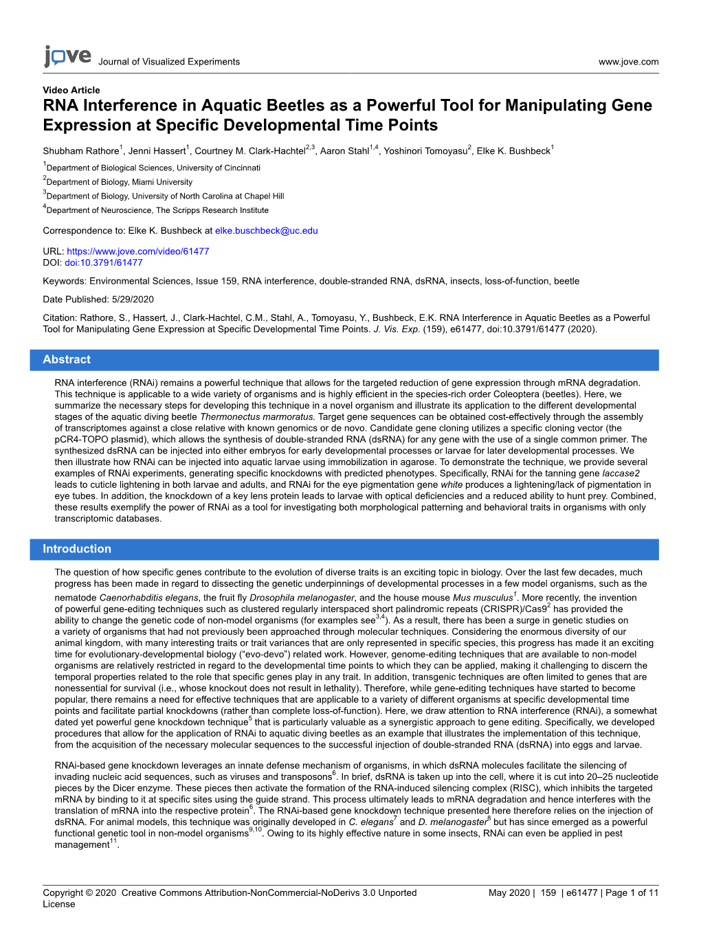 RNA Interference in Aquatic Beetles As a Powerful Tool for Manipulating Gene Expression at Specific Developmental Time Points