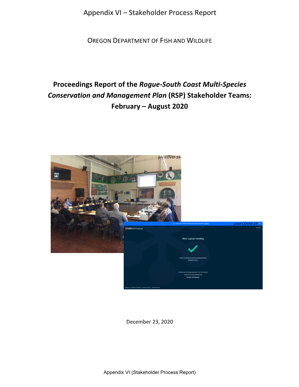 RSP Public Review Draft Appendix VI-Stakeholder Process Report