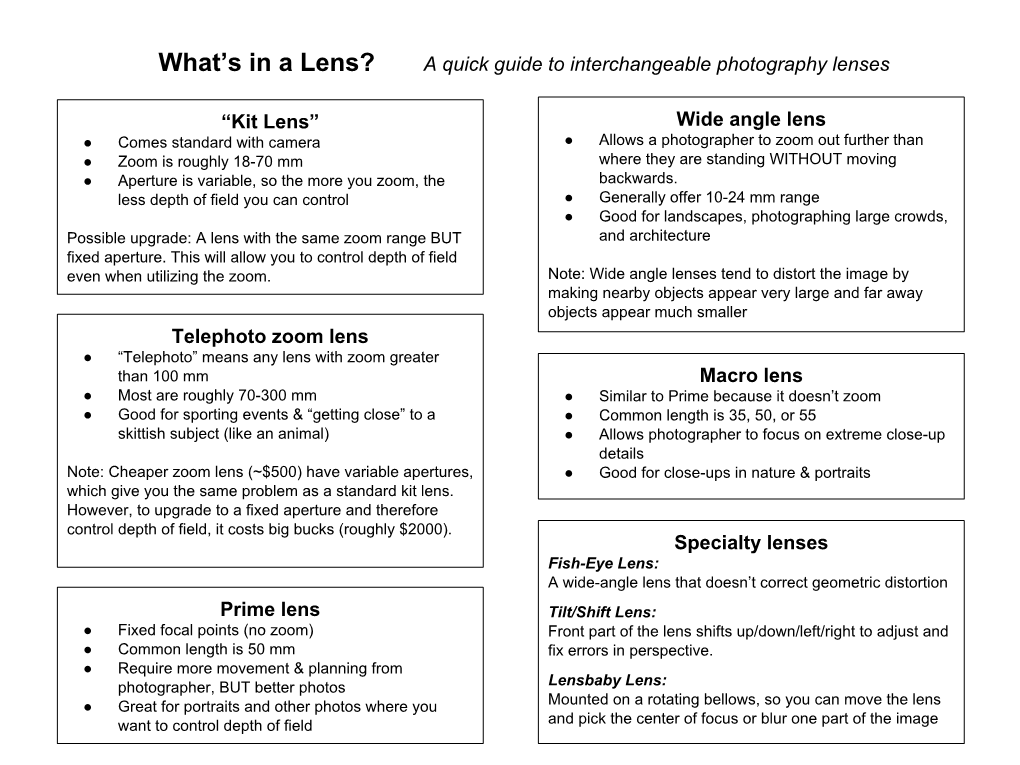 What's in a Lens? Graphic Organizer
