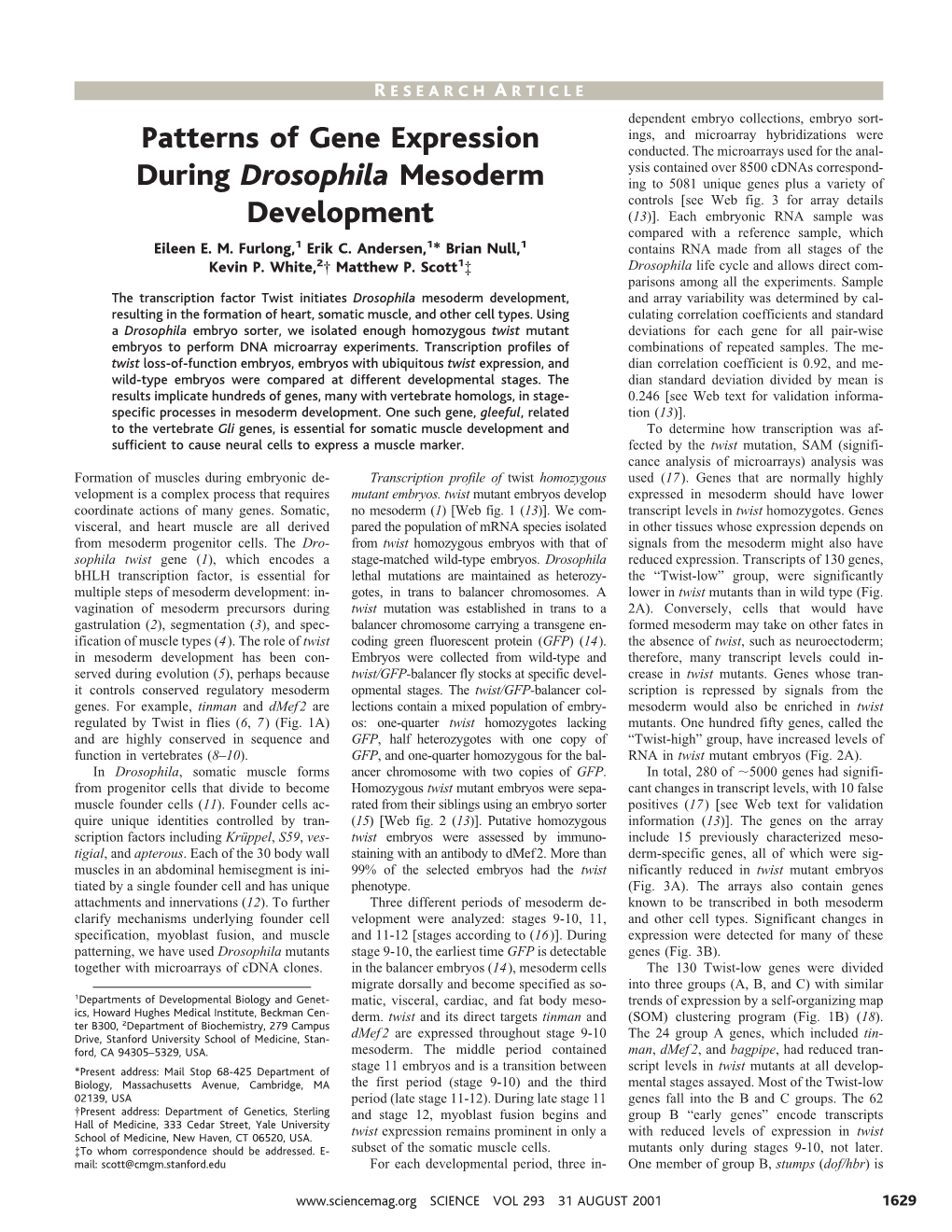 Patterns of Gene Expression During Drosophila Mesoderm Development