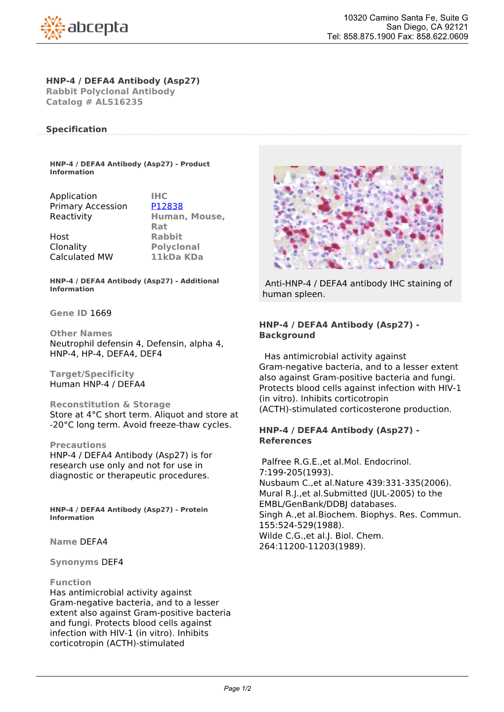 HNP-4 / DEFA4 Antibody (Asp27) Rabbit Polyclonal Antibody Catalog # ALS16235