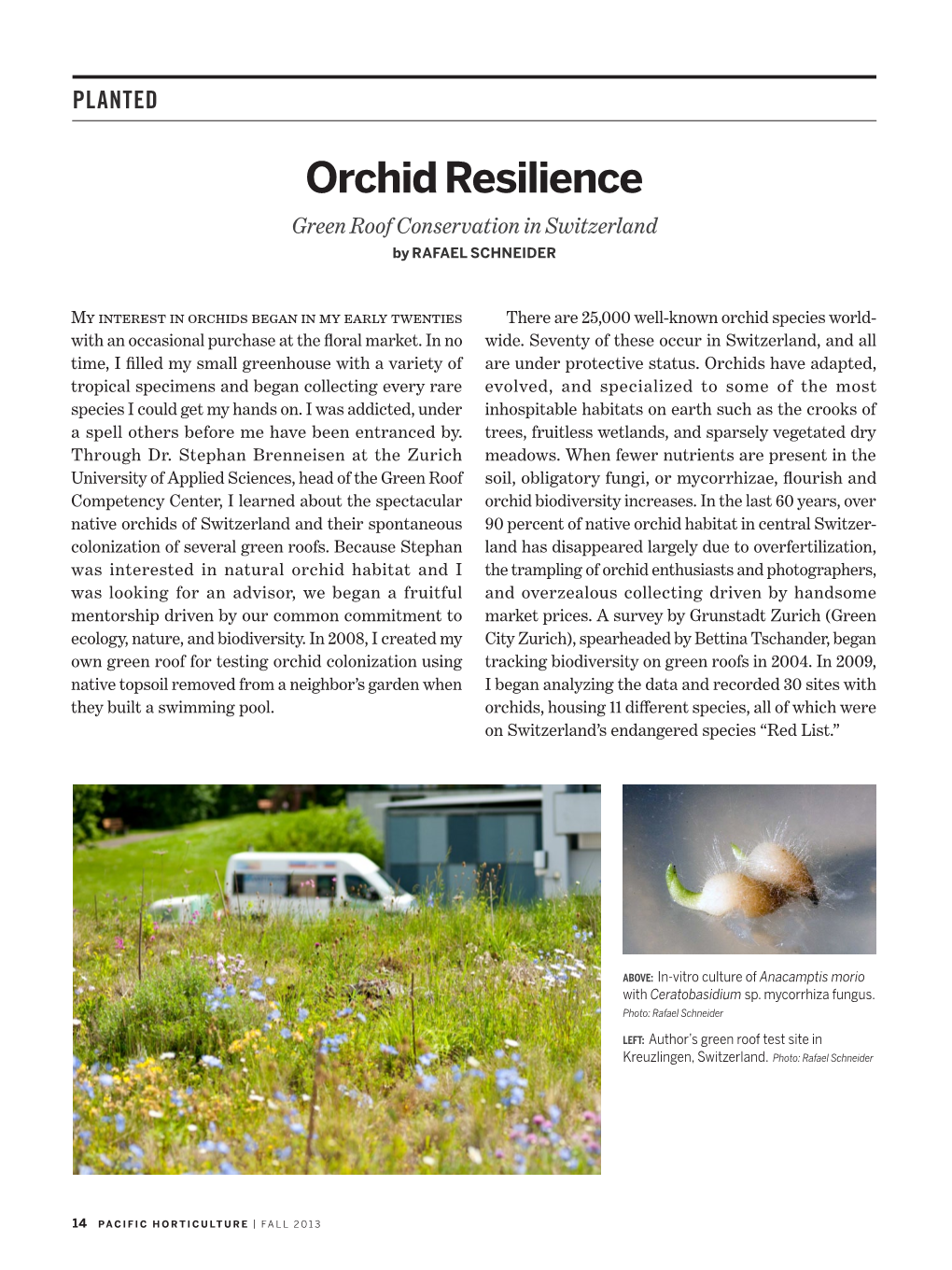 Orchid Resilience Green Roof Conservation in Switzerland by Rafael Schneider