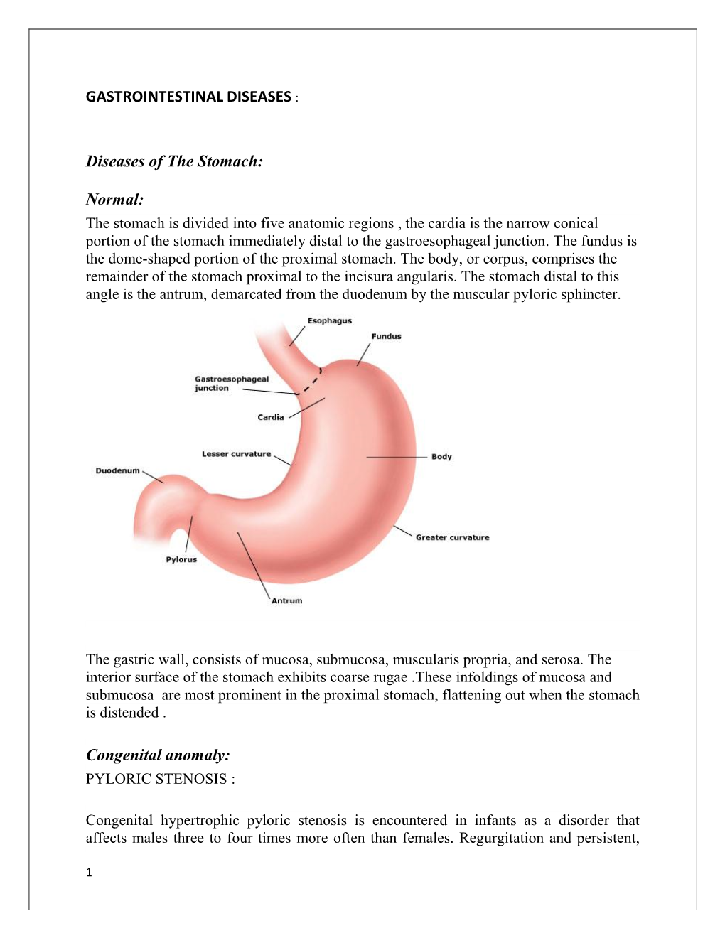 GASTROINTESTINAL DISEASES : Diseases of the Stomach: Normal