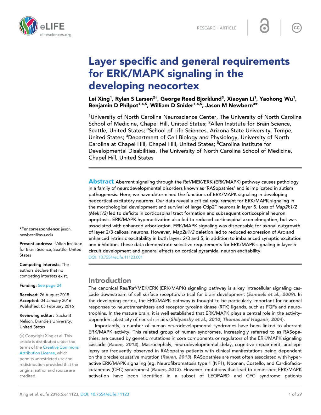 Layer Specific and General Requirements for ERK/MAPK