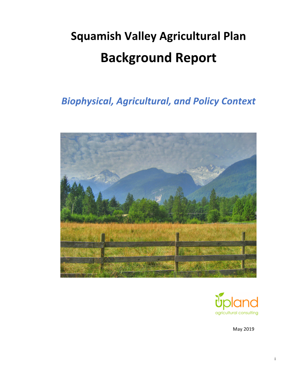 Background Report