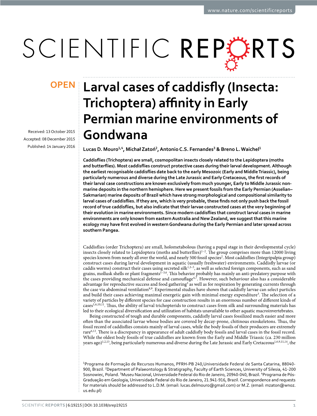 Larval Cases of Caddisfly (Insecta: Trichoptera)