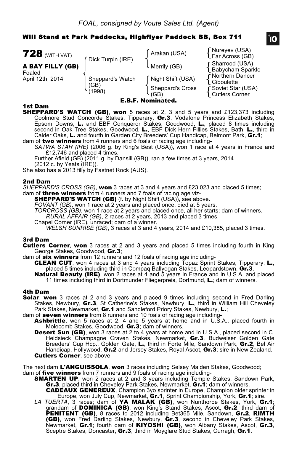 FOAL, Consigned by Voute Sales Ltd. (Agent)