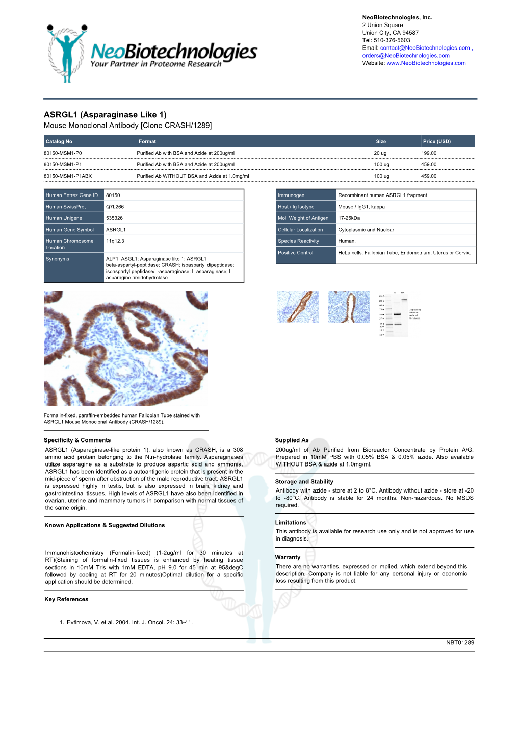 ASRGL1 (Asparaginase Like 1) Mouse Monoclonal Antibody [Clone CRASH/1289]