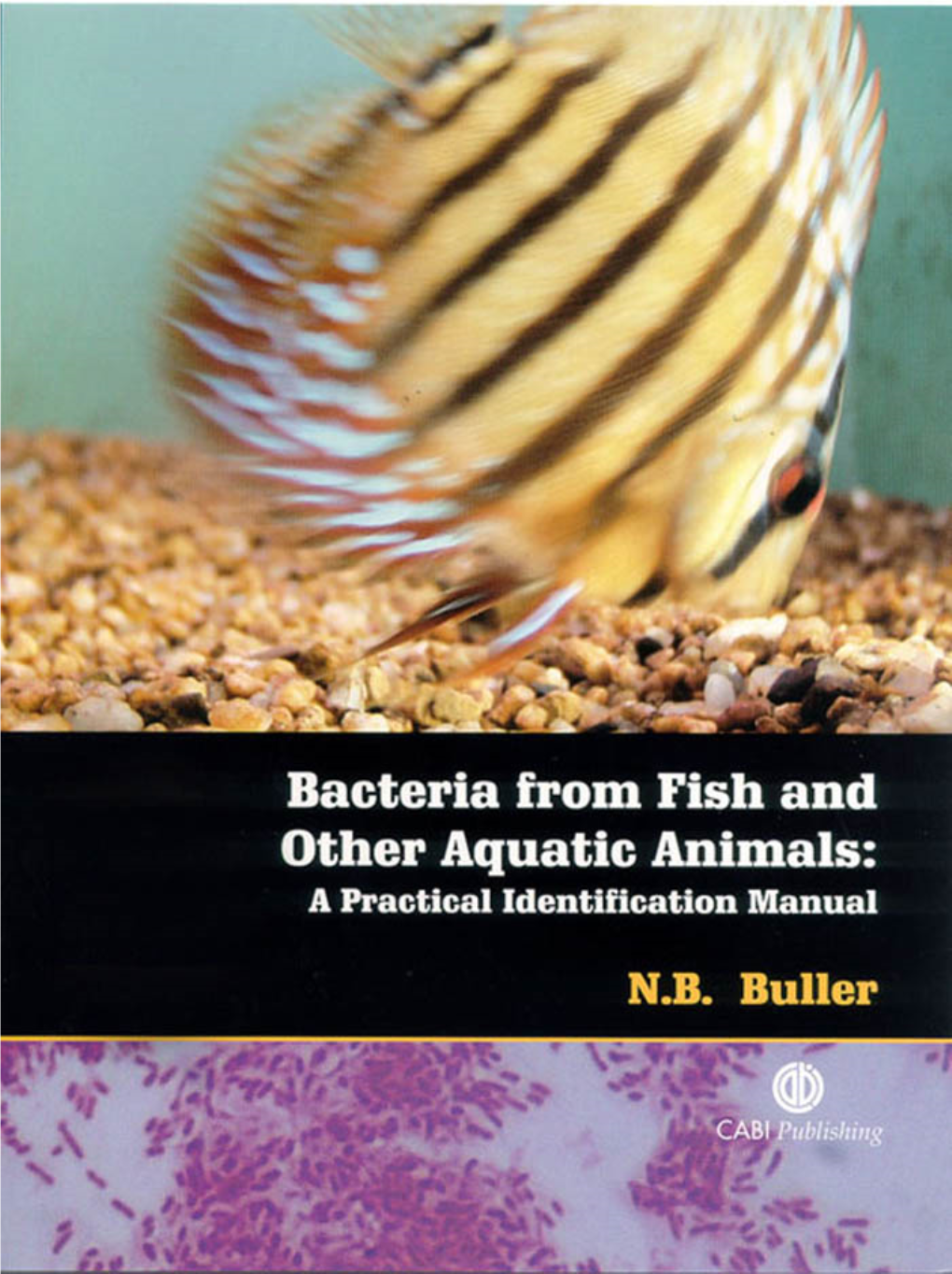 Bacteria from Fish and Other Aquatic Animals