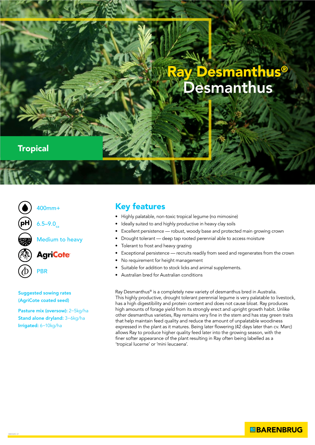 Ray Desmanthus Fact Sheet