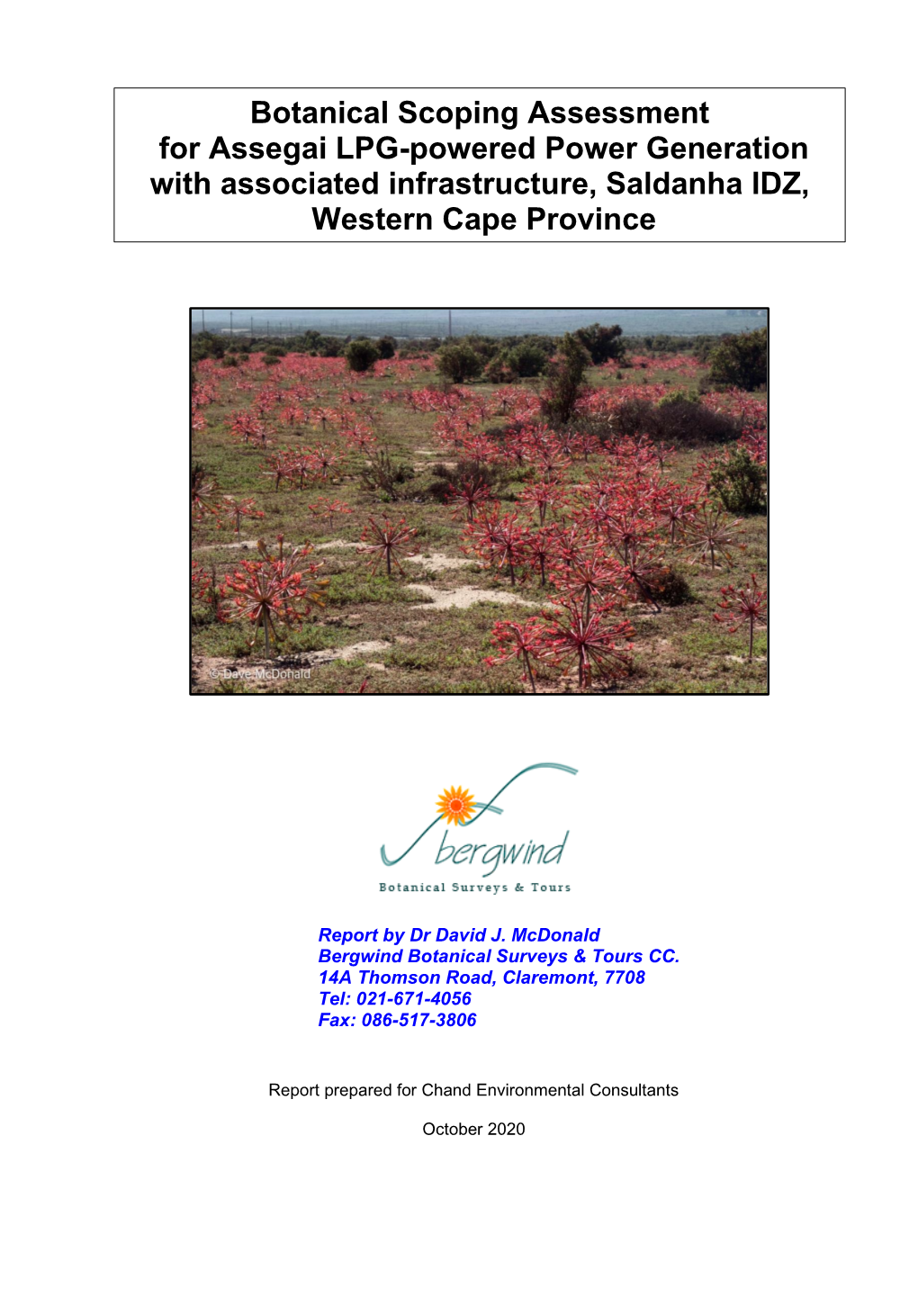 Botanical Scoping Assessment for Assegai LPG-Powered Power Generation with Associated Infrastructure, Saldanha IDZ, Western Cape Province