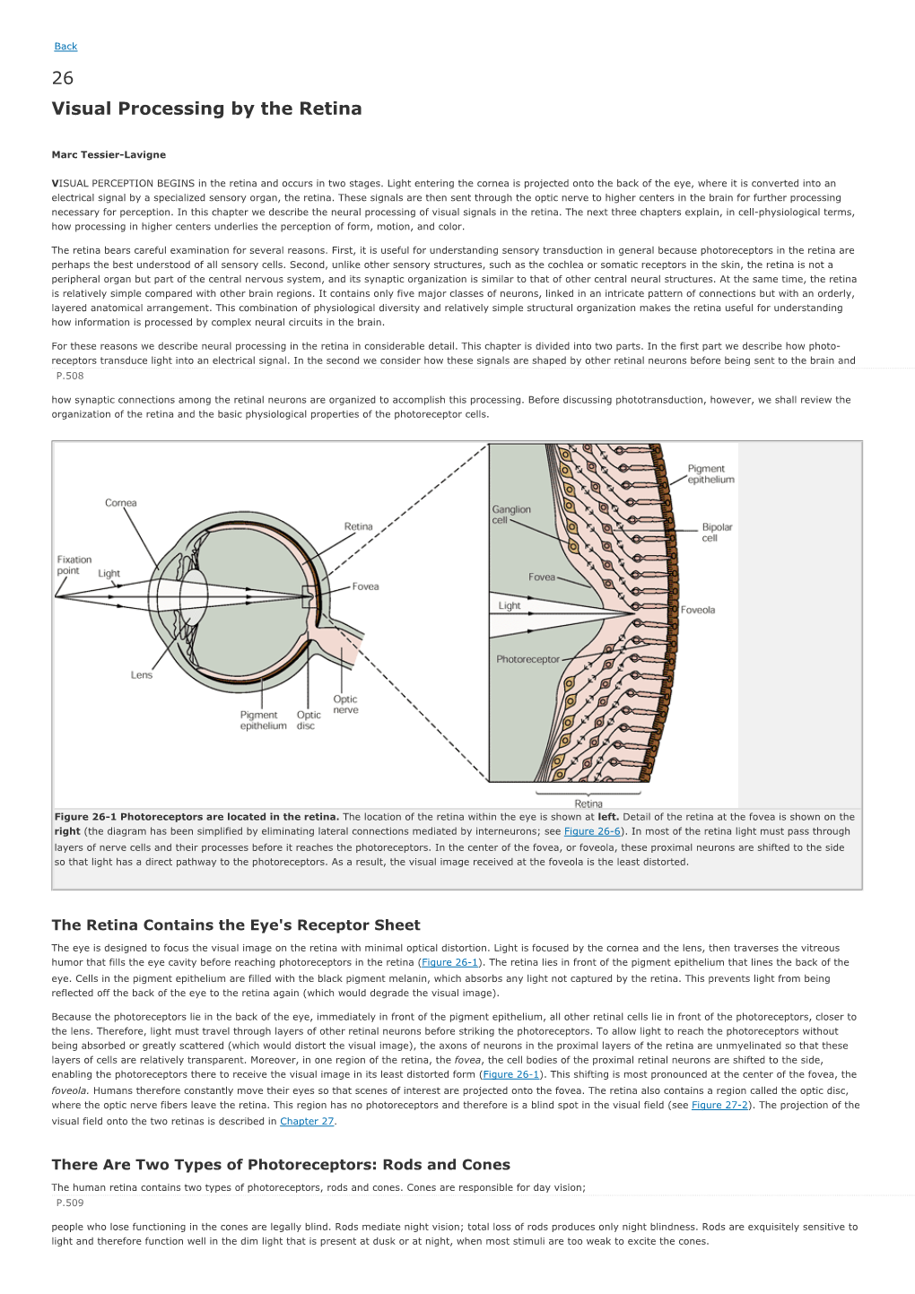 Kandel Ch. 26