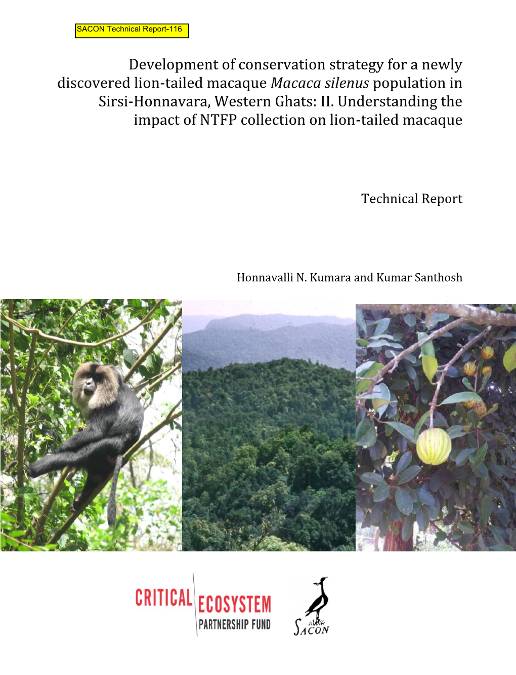Development of Conservation Strategy for a Newly Discovered Lion-Tailed Macaque Population in Sirsi-Honnavara, Western Ghats: II
