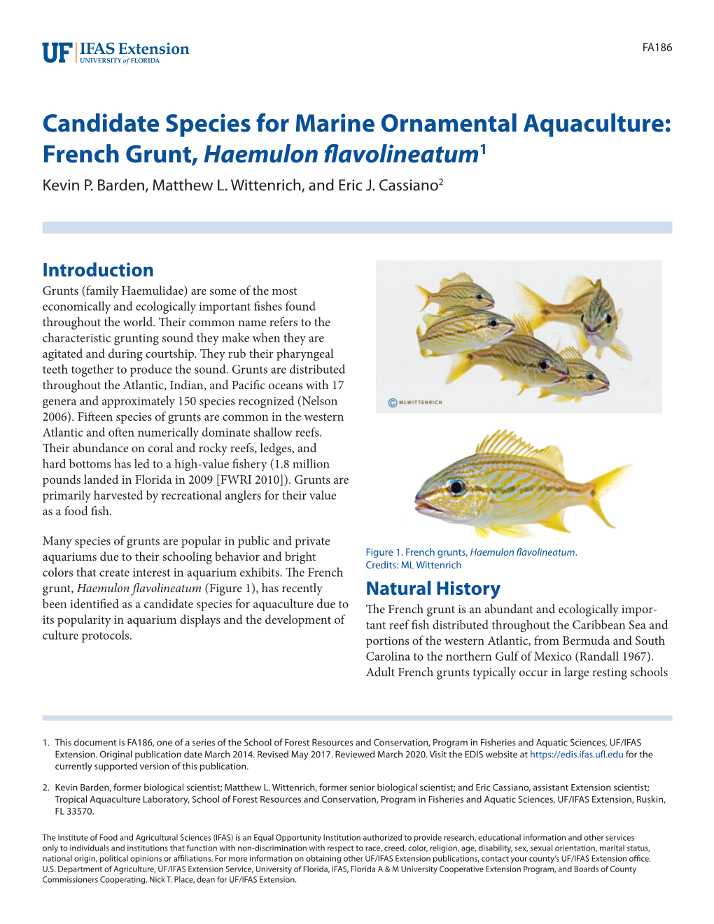 Candidate Species for Marine Ornamental Aquaculture: French Grunt, Haemulon Flavolineatum1 Kevin P