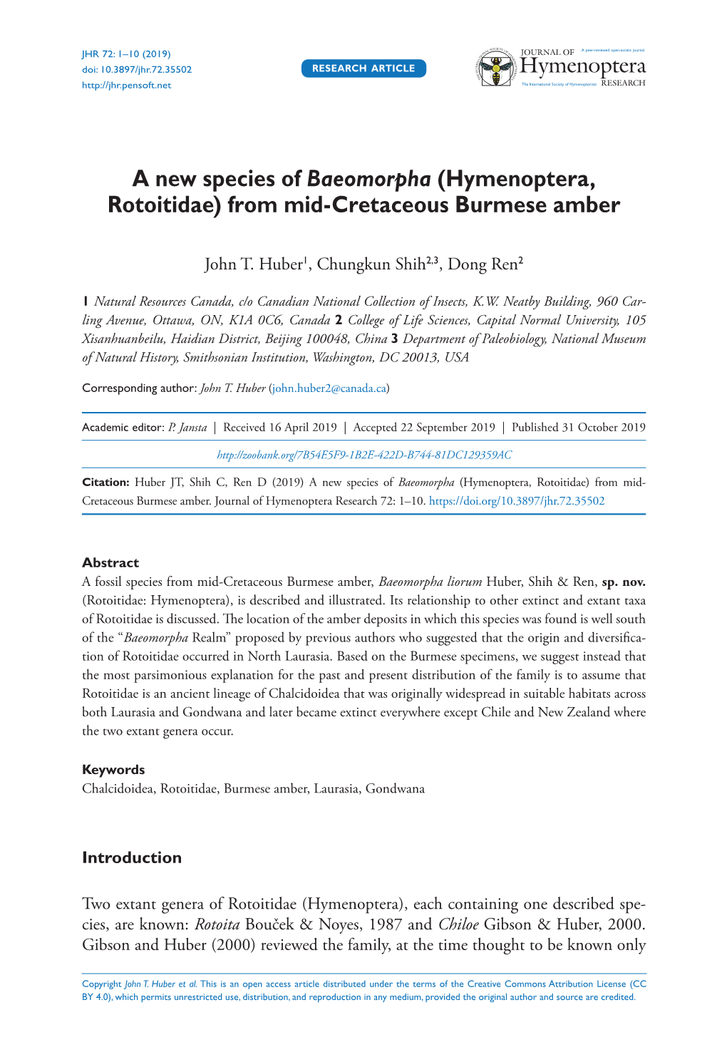 A New Species of Baeomorpha (Hymenoptera, Rotoitidae) from Mid-Cretaceous Burmese Amber