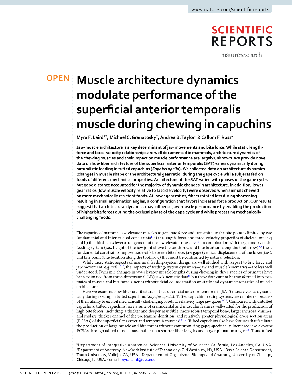 Muscle Architecture Dynamics Modulate Performance of the Superfcial Anterior Temporalis Muscle During Chewing in Capuchins Myra F