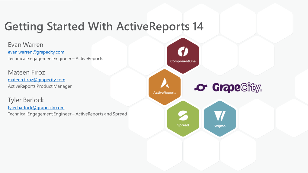 Getting Started with Activereports 14