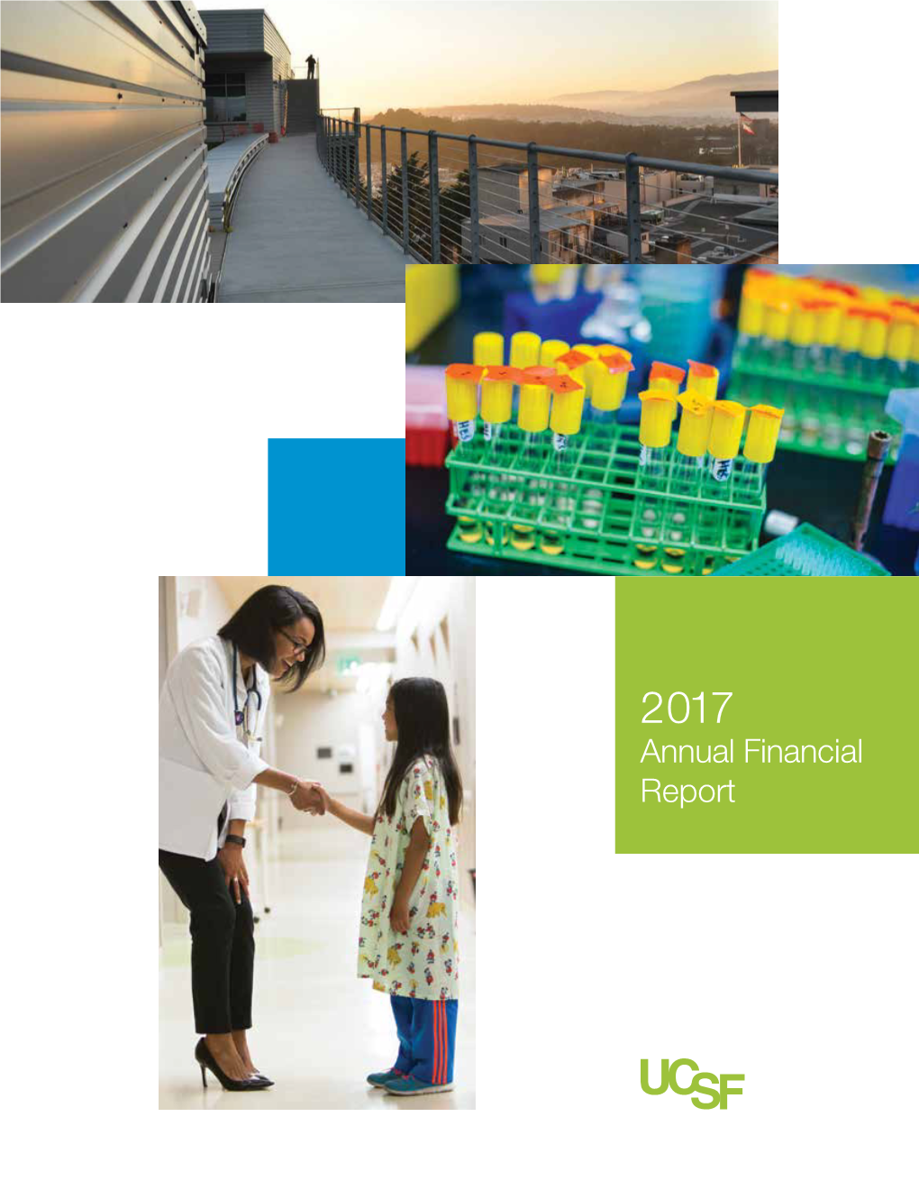 2017 Annual Financial Report Excellence Is in Our DNA
