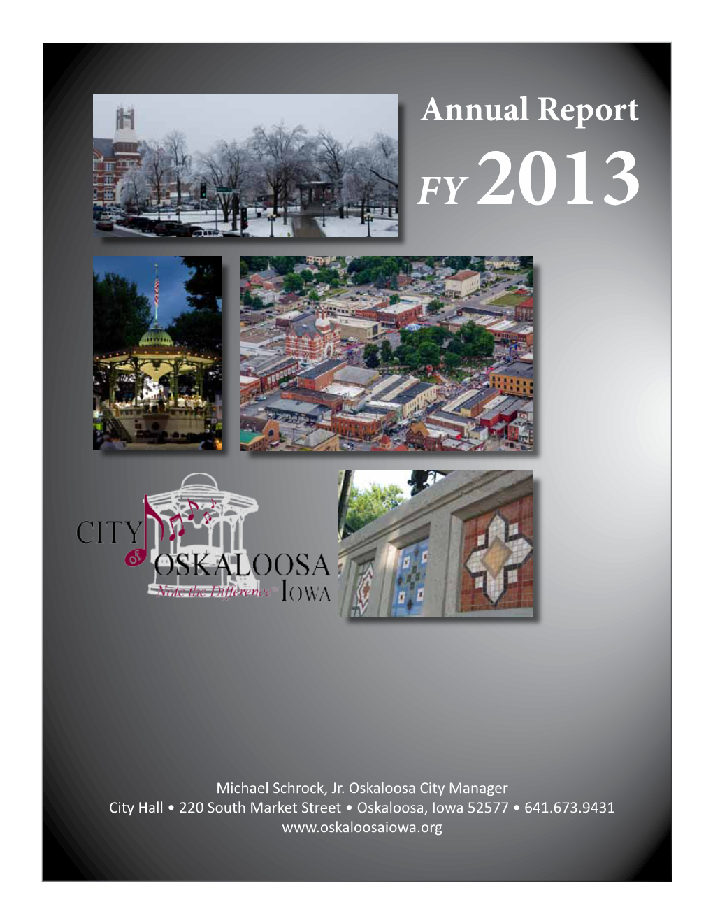Annual Report FY 2013