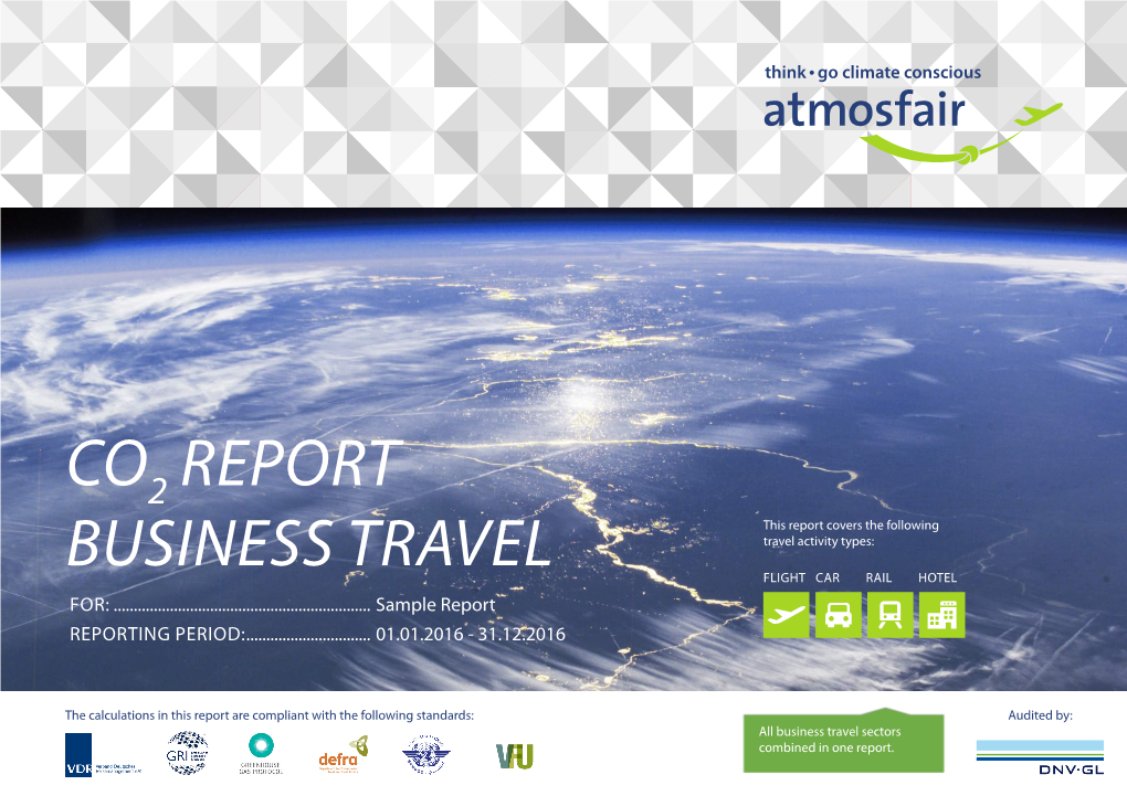 Co Report Business Travel
