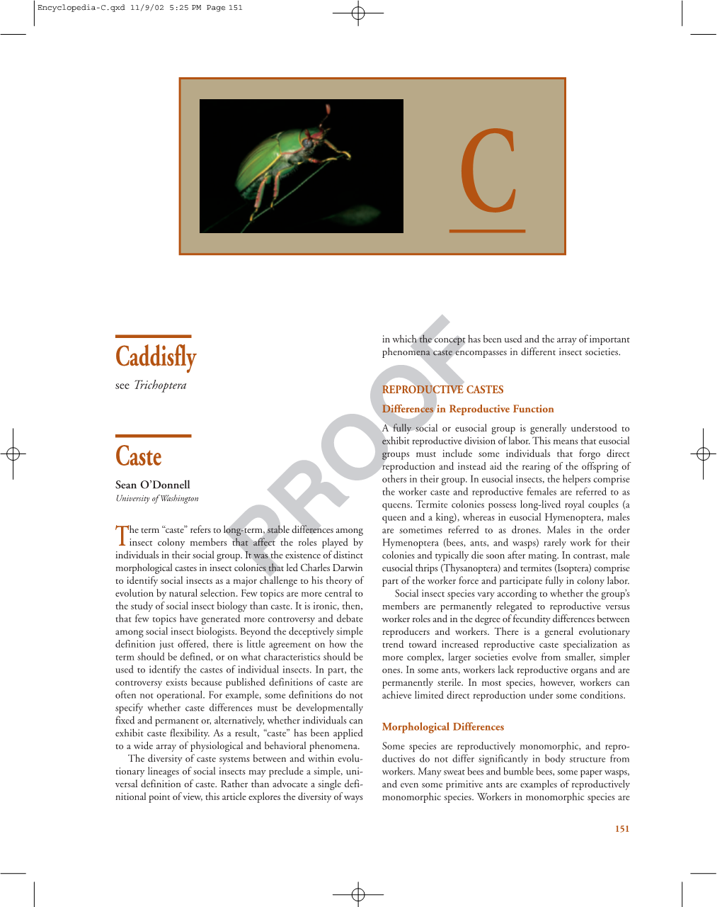 Caddisfly Caste