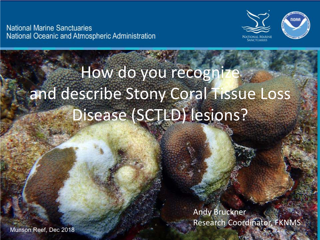 How Do You Recognize and Describe Stony Coral Tissue Loss Disease (SCTLD) Lesions?