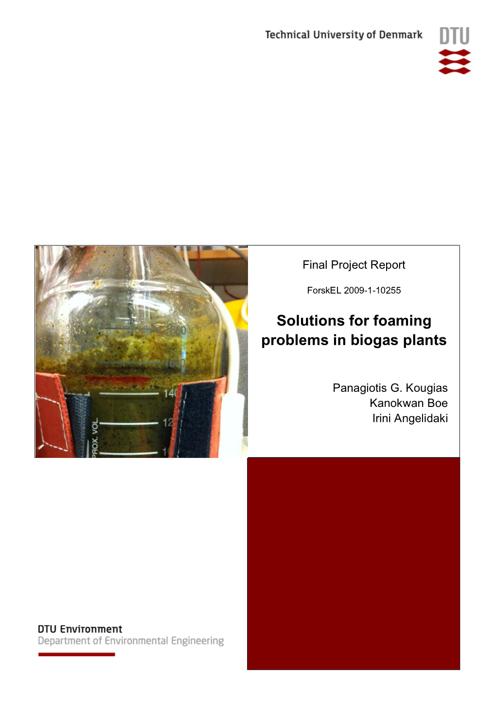 Solutions for Foaming Problems in Biogas Plants