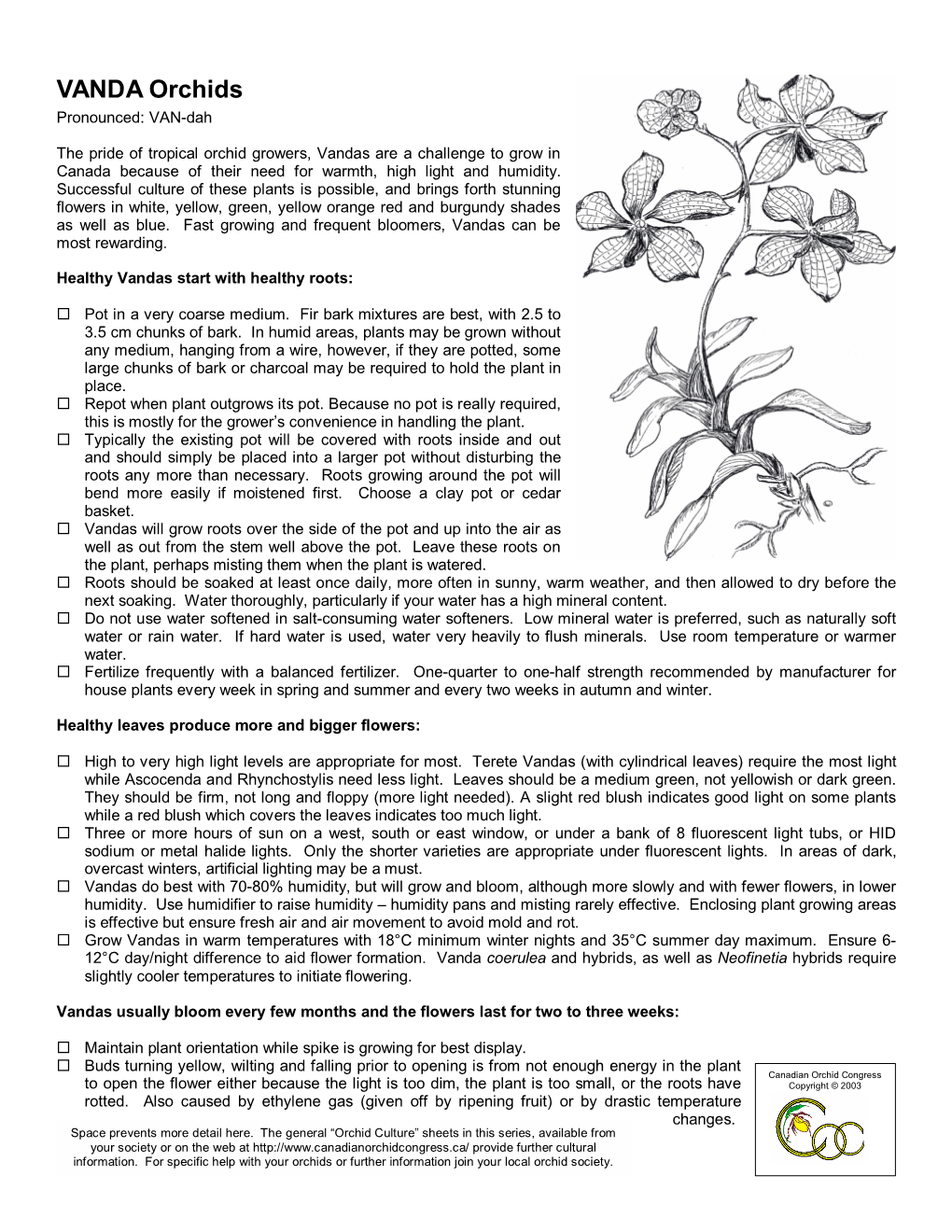 VANDA Orchids Pronounced: VAN-Dah