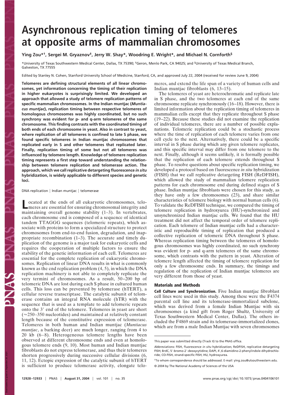 Asynchronous Replication Timing of Telomeres at Opposite Arms of Mammalian Chromosomes