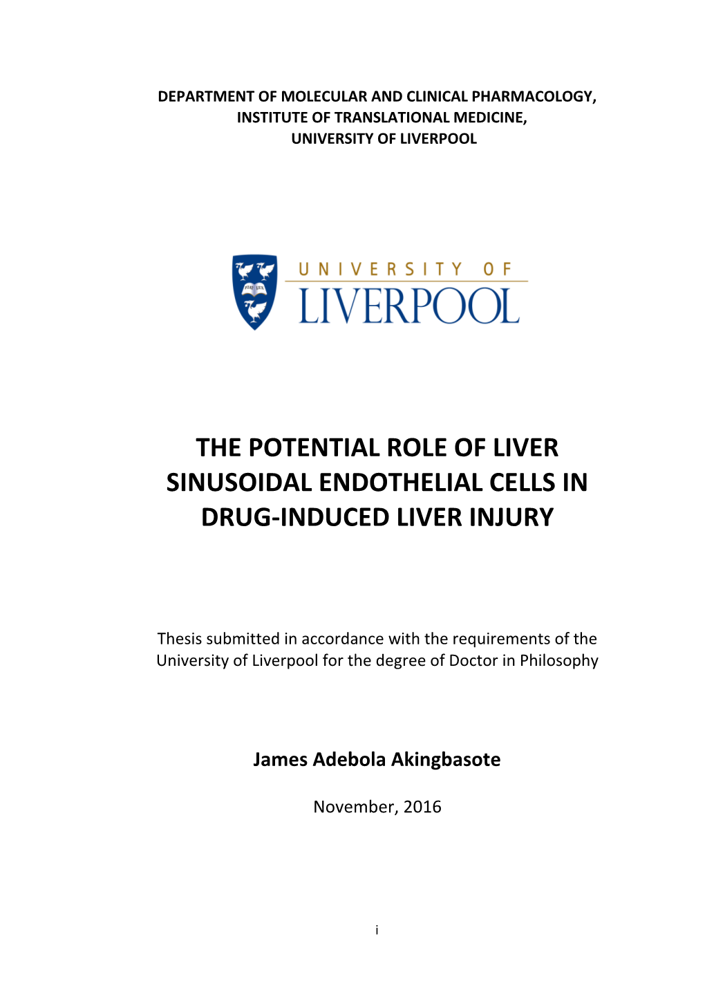 The Potential Role of Liver Sinusoidal Endothelial Cells in Drug-Induced Liver Injury