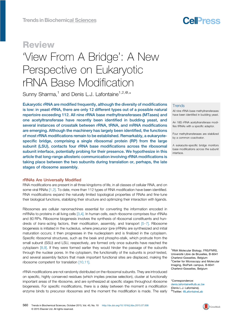 A New Perspective on Eukaryotic Rrna Base Modification