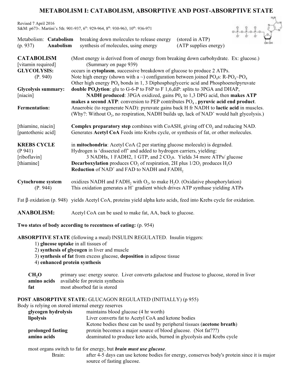 Metabolism I: Catabolism, Absorptive and Post-Absorptive State