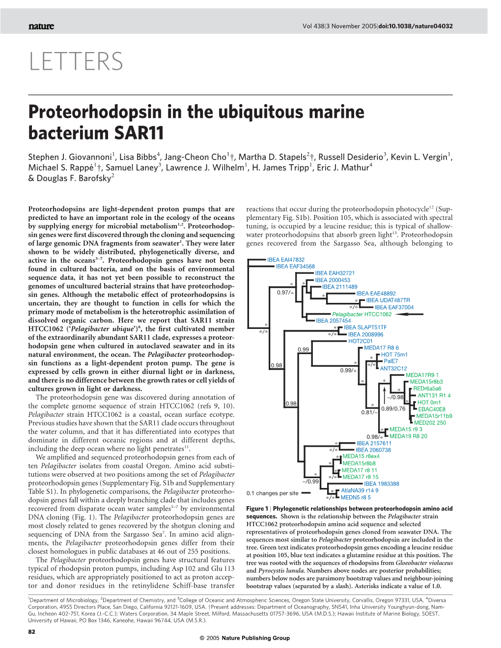 Proteorhodopsin in the Ubiquitous Marine Bacterium SAR11