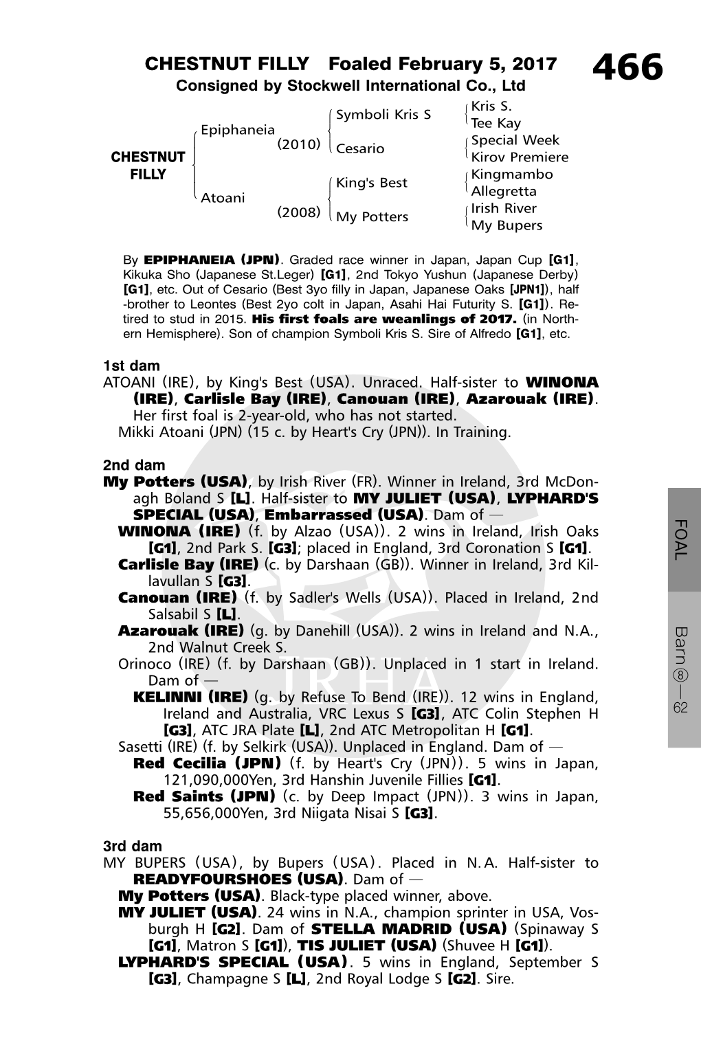 CHESTNUT FILLY Foaled February 5, 2017 Consigned by Stockwell International Co., Ltd 466 #Kris S