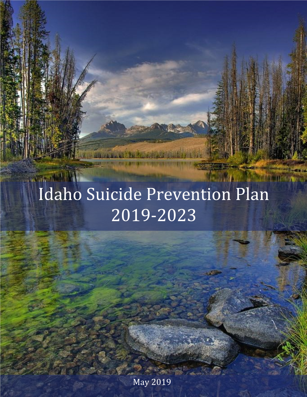 Idaho Suicide Prevention Plan 2019-2023