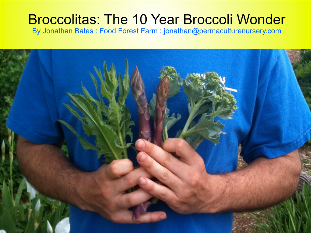 Perennial Broccolis: a Viable Early Crop for Vegetable Farmers in Massachusetts?