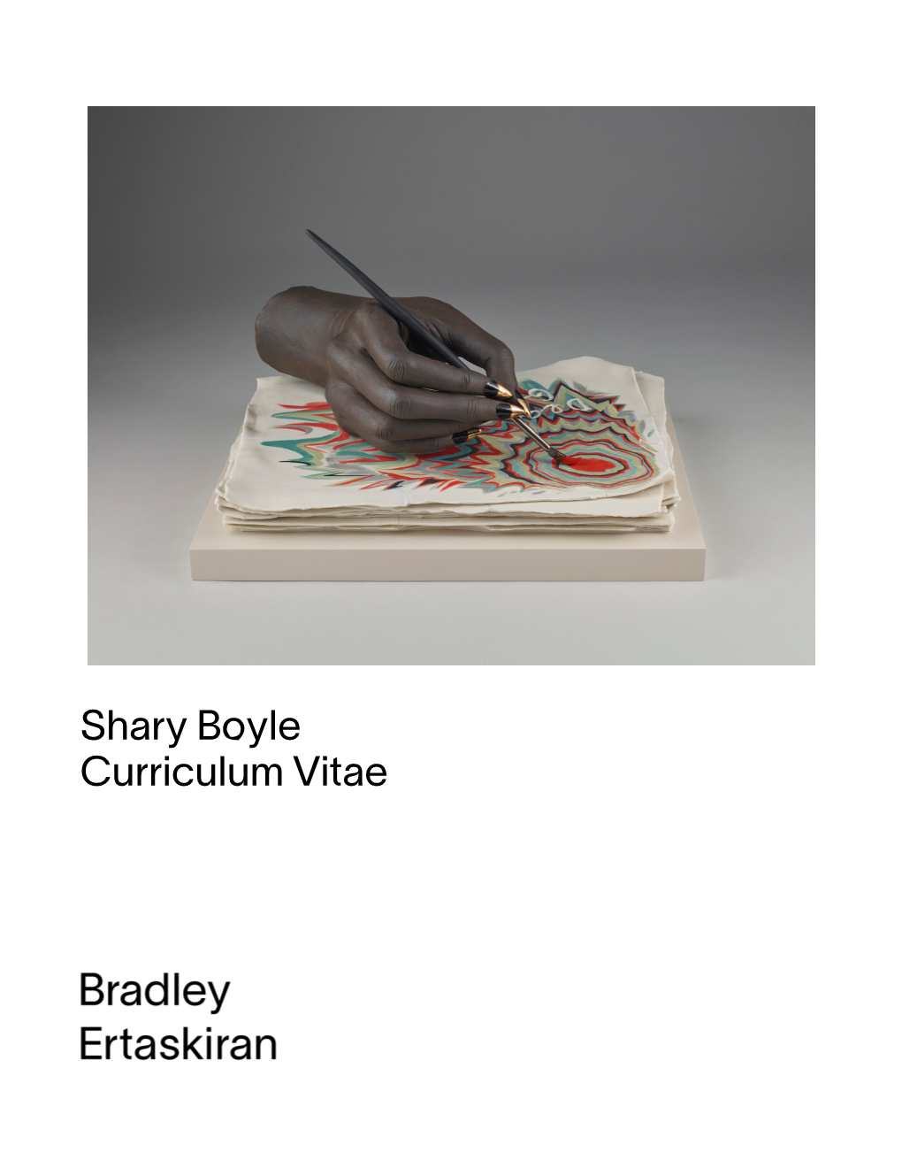 Shary Boyle Curriculum Vitae