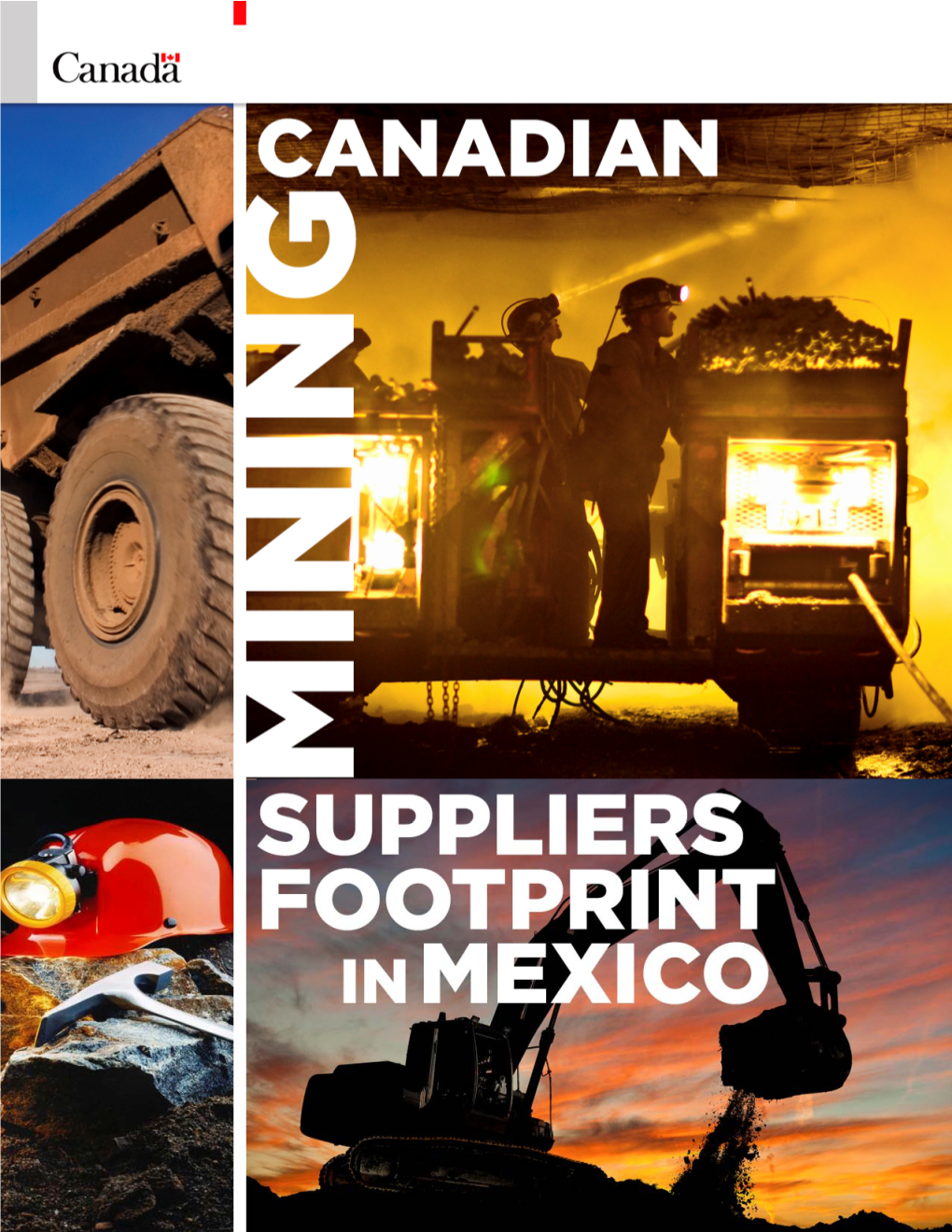 Canadian Mining Suppliers in Mexico Report