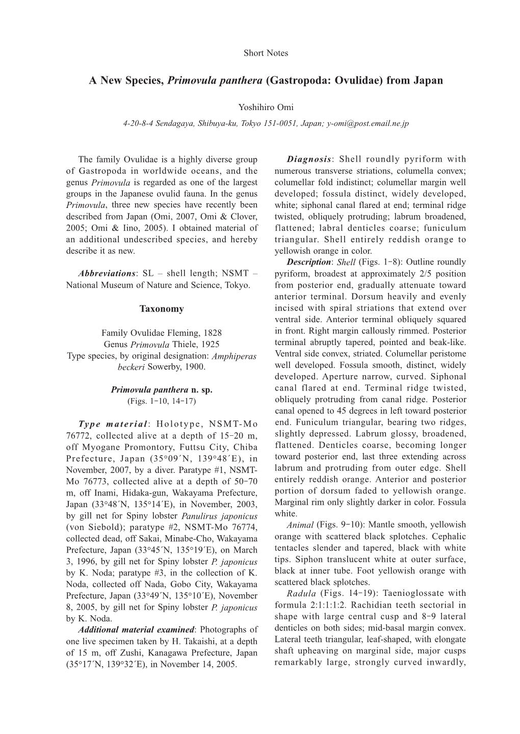 A New Species, Primovula Panthera (Gastropoda: Ovulidae) from Japan