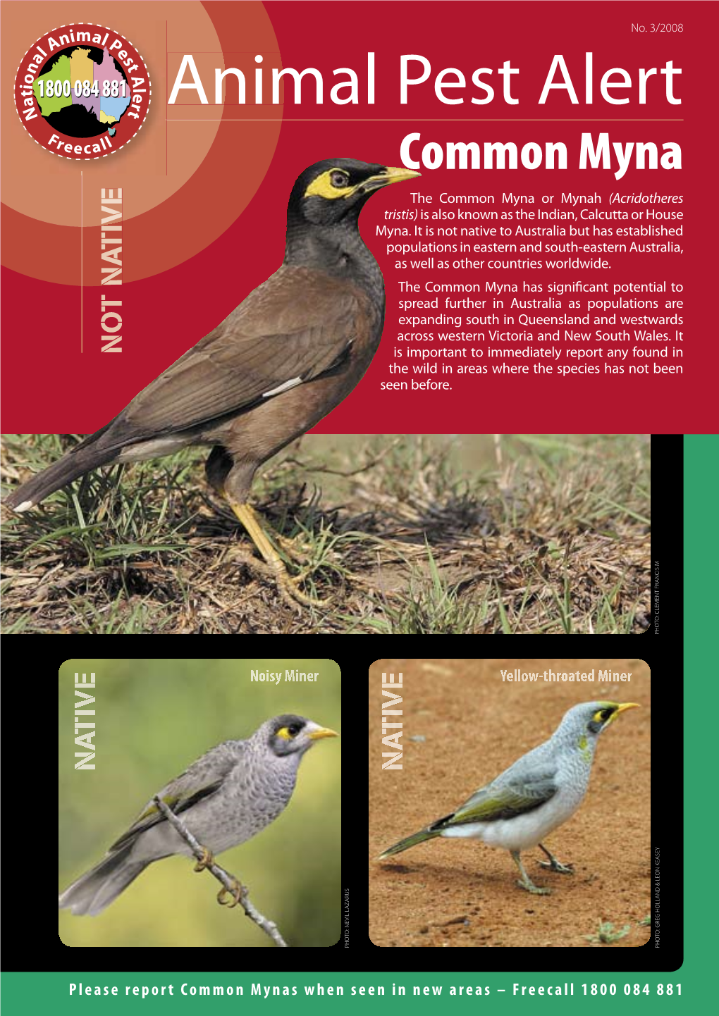 Animal Pest Alert: Common Myna No. 3/2008