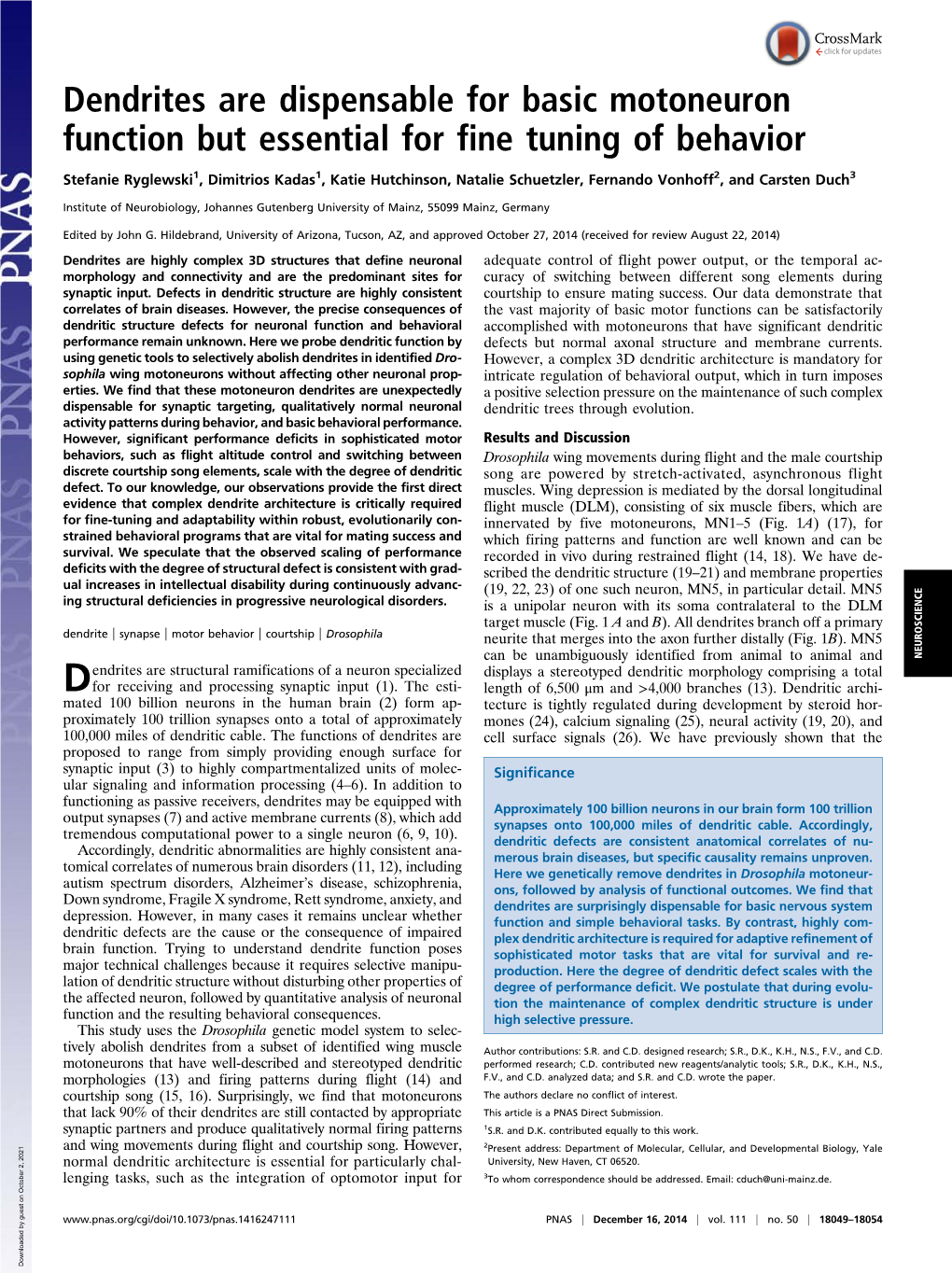 Dendrites Are Dispensable for Basic Motoneuron Function but Essential for Fine Tuning of Behavior