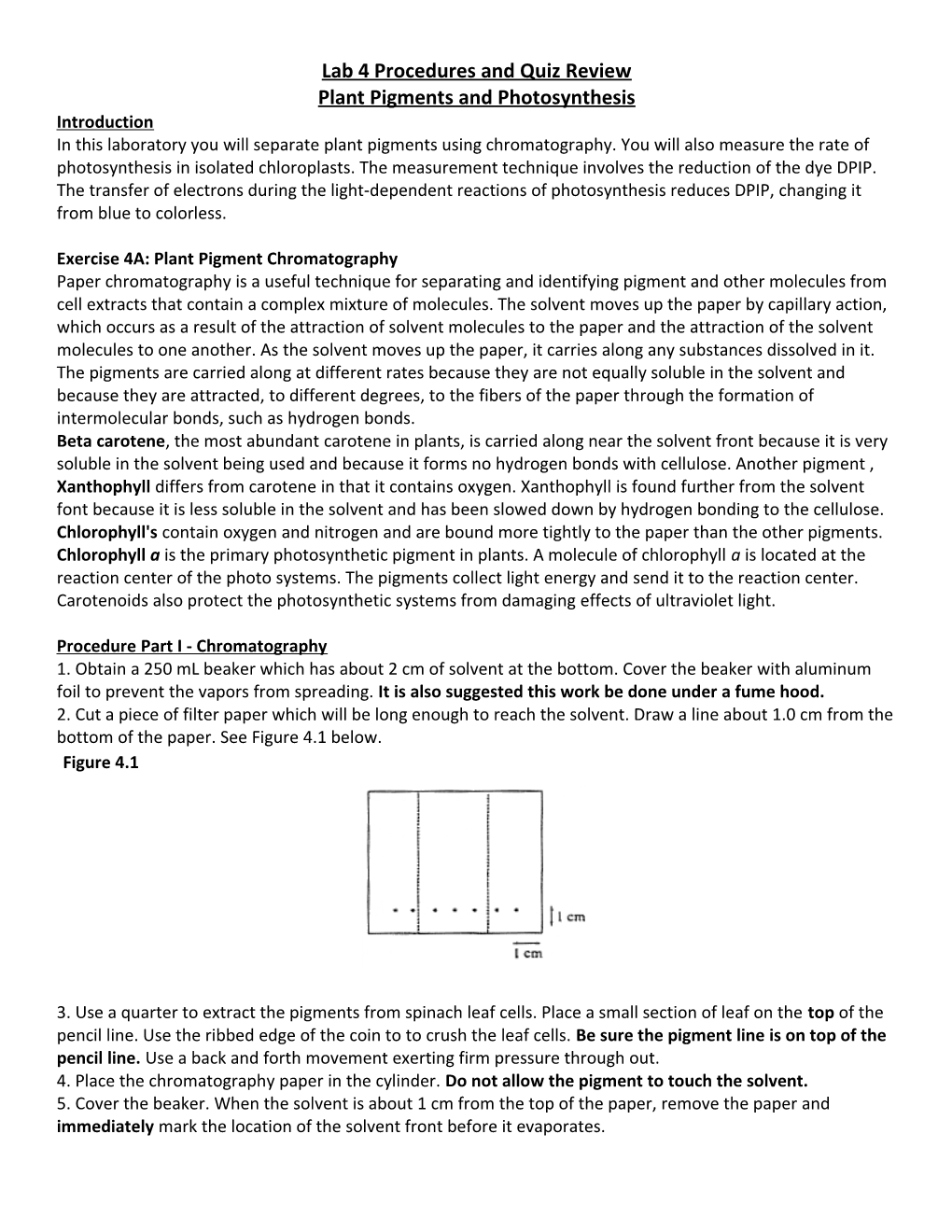 Lab 4 Procedures and Quiz Review