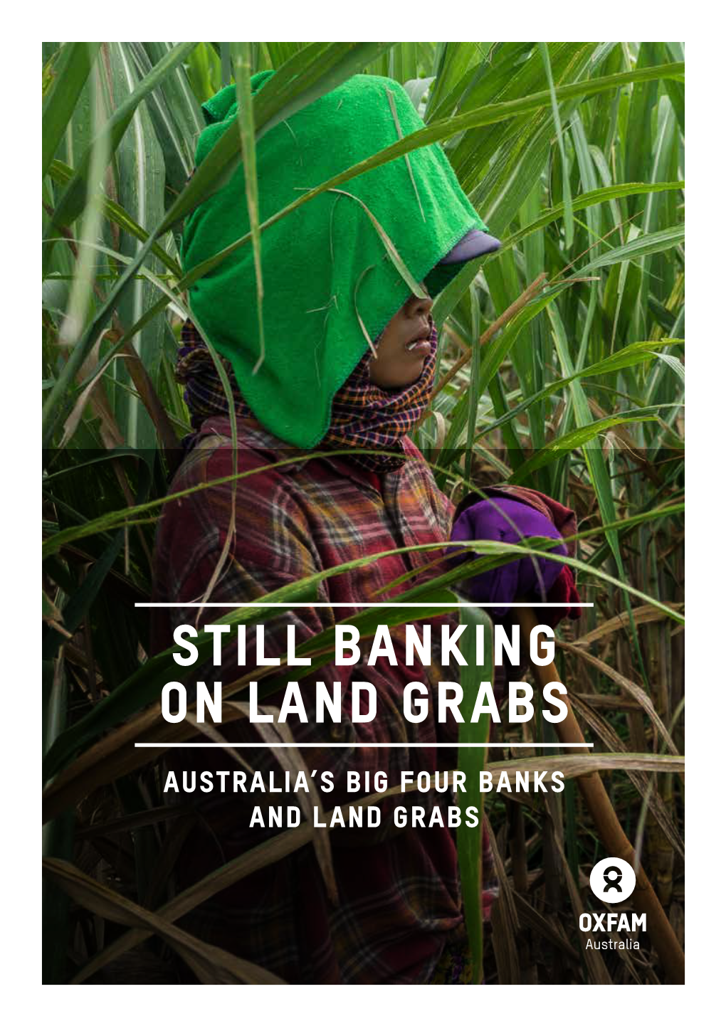 Still Banking on Land Grabs