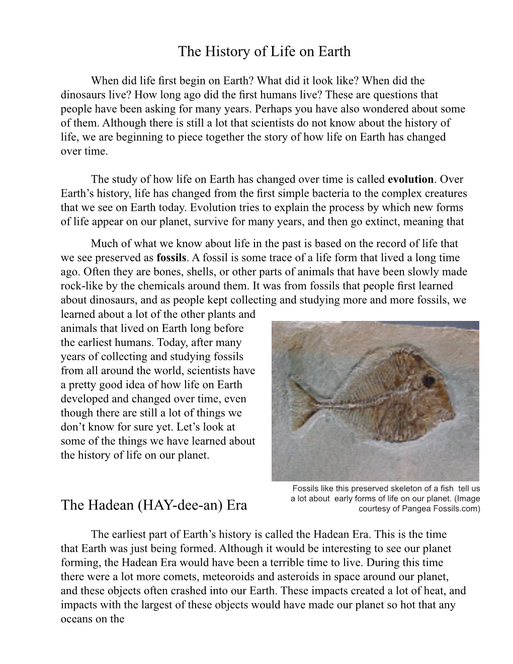 The History of Life on Earth the Hadean (HAY-Dee-An)