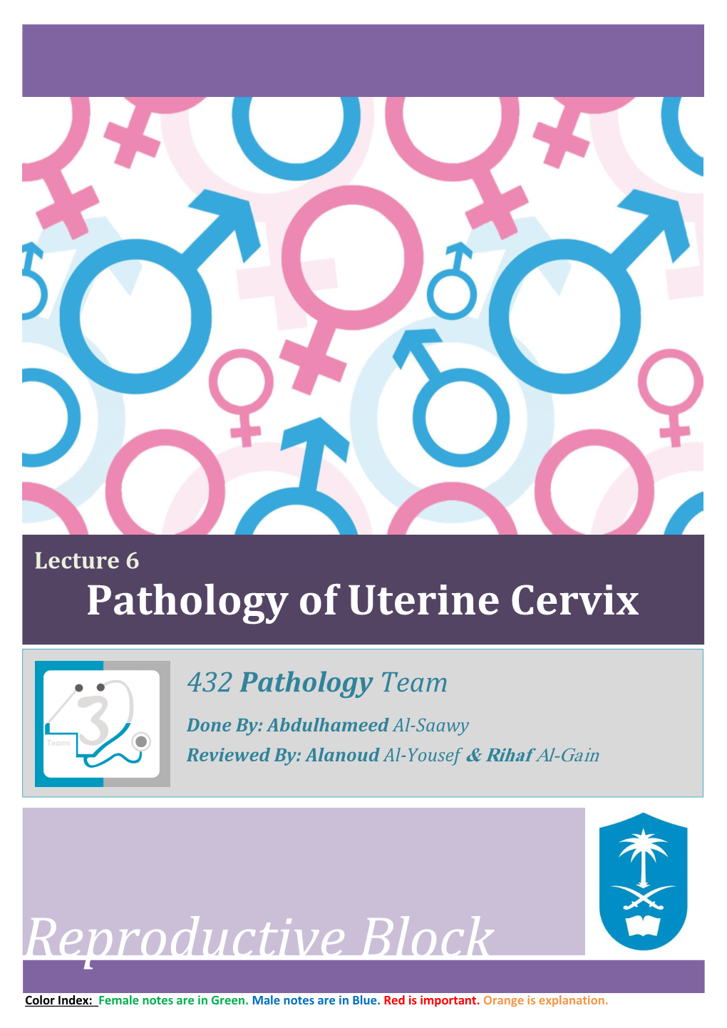 Uterine Cervix