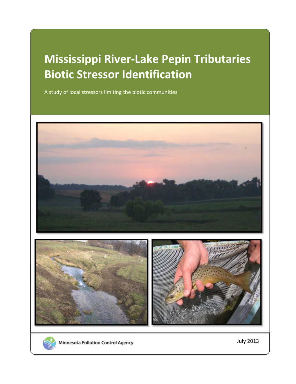 Mississippi River-Lake Pepin Tributaries Biotic Stressor Identification