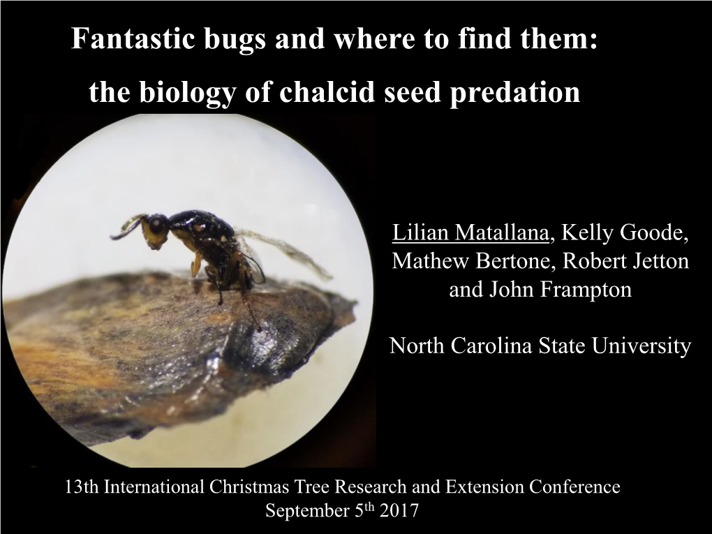 Fantastic Bugs and Where to Find Them: the Biology of Chalcid Seed Predation