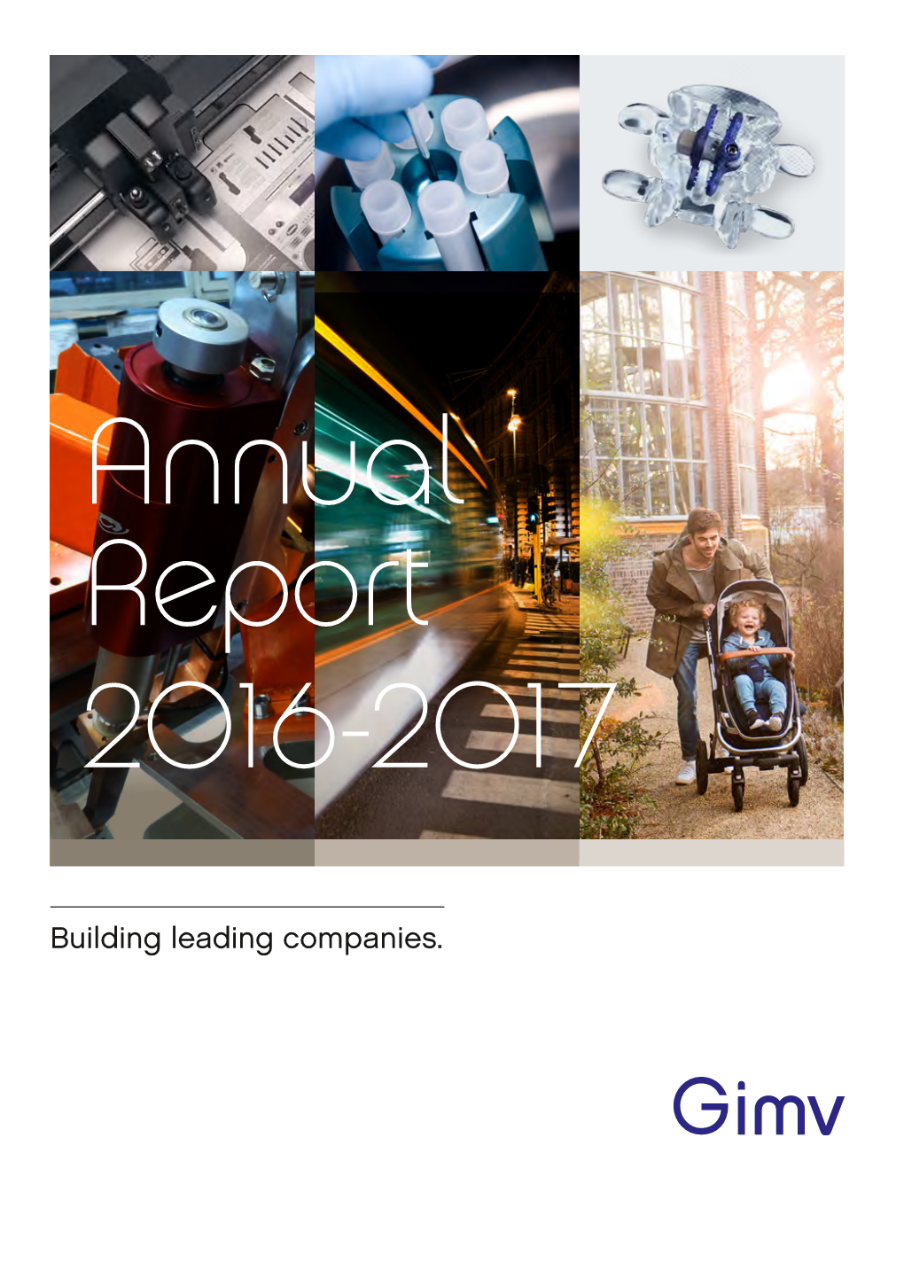 Annual Report 2016-2017 1
